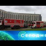 «Сегодня»: 12 мая 2020 года. 10:00