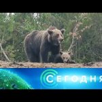 «Сегодня»: 27 июля 2020 года. 10:00