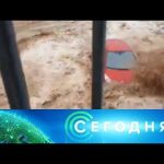 «Сегодня»: 13 августа 2020 года. 10:00
