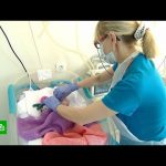 Волонтеры со всей России вяжут шерстяные вещи для недоношенных детей