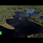 Британцы боятся дефицита пресной воды и спасают водоемы