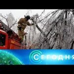«Сегодня»: 23 ноября 2020 года. 08:00
