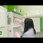 Великобритания начинает вакцинацию от коронавируса: кого будут прививать прежде всего