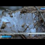 Вести Санкт-Петербург. Выпуск 14:30 от 09.12.2020