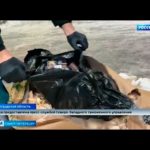 Вести Санкт-Петербург. Выпуск 9:00 от 26.02.2021