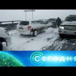 «Сегодня»: 8 февраля 2021 года. 08:00
