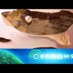 «Сегодня»: 3 марта 2021 года. 13:00