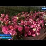 Вести Санкт-Петербург. Выпуск 20:45 от 08.03.2021