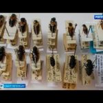 Вести Санкт-Петербург. Выпуск 9:00 от 22.04.2021