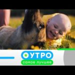 «Утро. Самое лучшее»: 30 апреля 2021 года