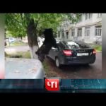 «ЧП»: 11 июня 2021 года