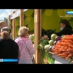 Вести Санкт-Петербург. Выпуск 21:05 от 01.09.2021